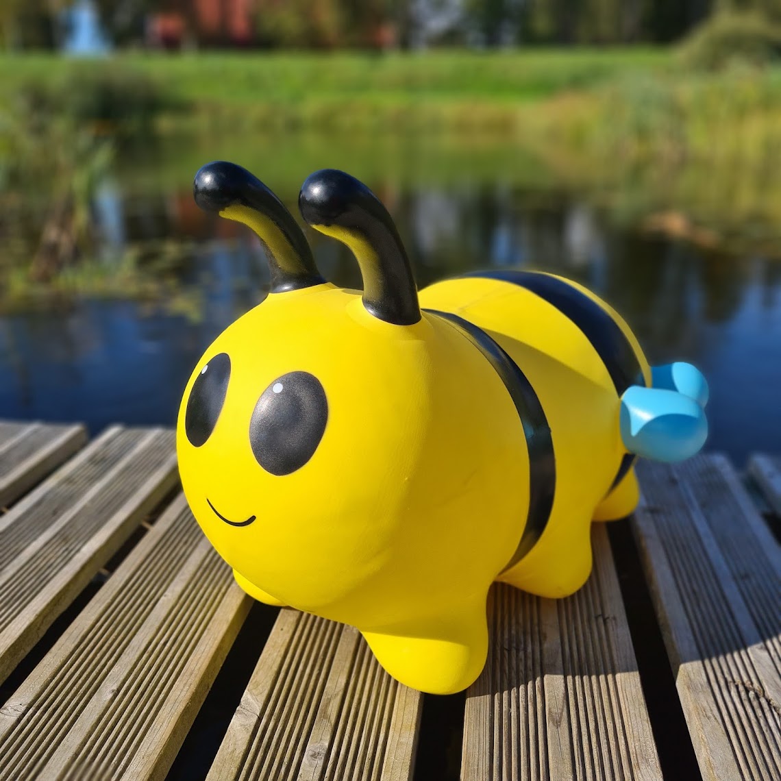 PushAround Garden Bee Toy