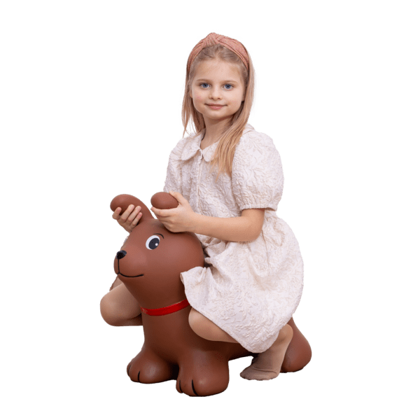 GT69365 My First JUMPY – brown Dog GT69365 My First JUMPY – brown Dog
