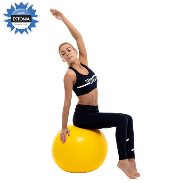 GT7705 Exercise ball GT7705 Exercise ball